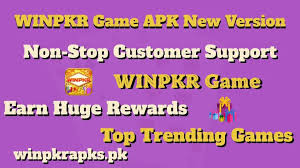WinPKR Beginner Guide Pakistan 2026